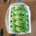 云南意大利生菜/基地现货/可按需包装/全国发货/量大从优
