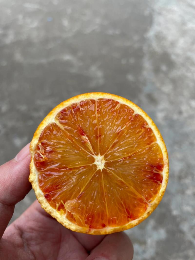 精品塔罗科血橙