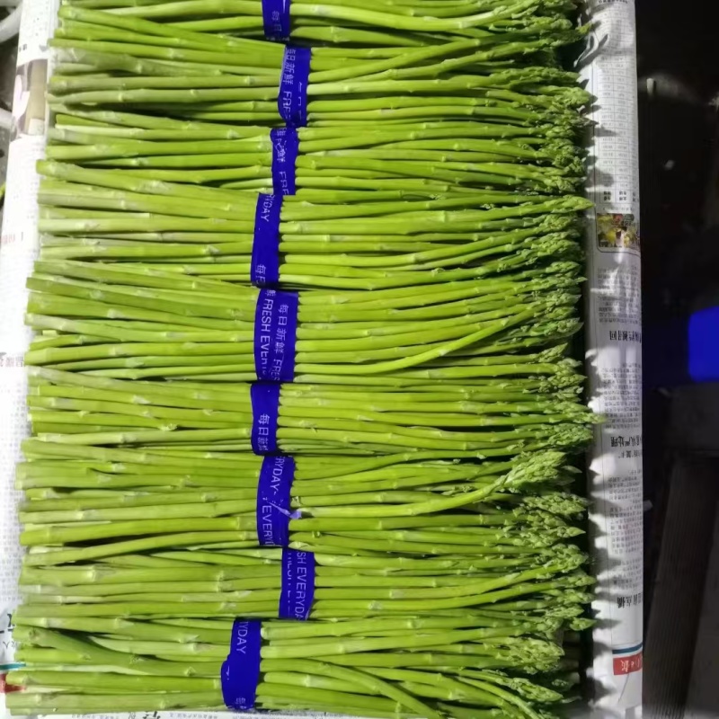 福建绿芦笋批发部