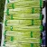 福建绿芦笋批发部