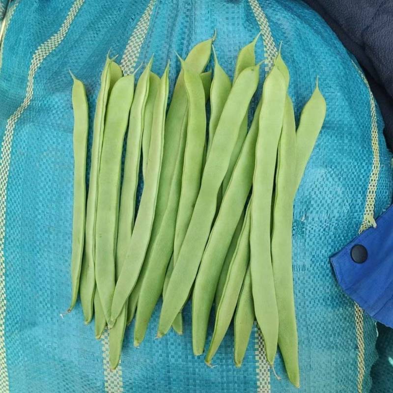 扁芸豆超市电商市场大量现货各种包装欢迎来电