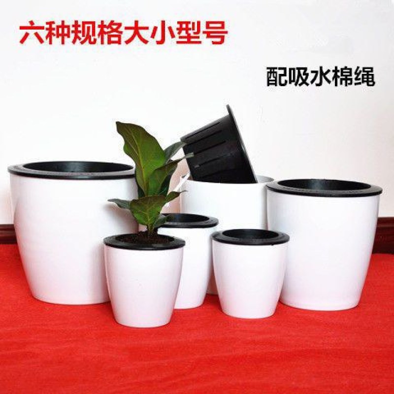 懒人花盆全新PP树脂环保花盆塑料免浇水花盆懒人花盆自动吸