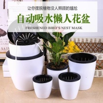懒人花盆全新PP树脂环保花盆塑料免浇水花盆懒人花盆自动吸