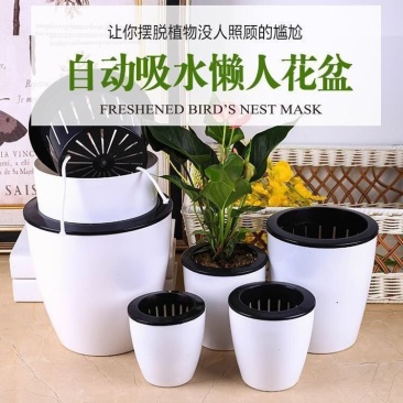 懒人花盆全新PP树脂环保花盆塑料免浇水花盆懒人花盆自动吸