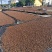 一级山茶油产地江西分宜20年老行家量大从优