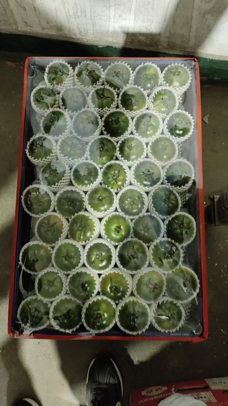 草莓柿子&碱地柿子&草莓西红柿/口感好质量优/可全国发货