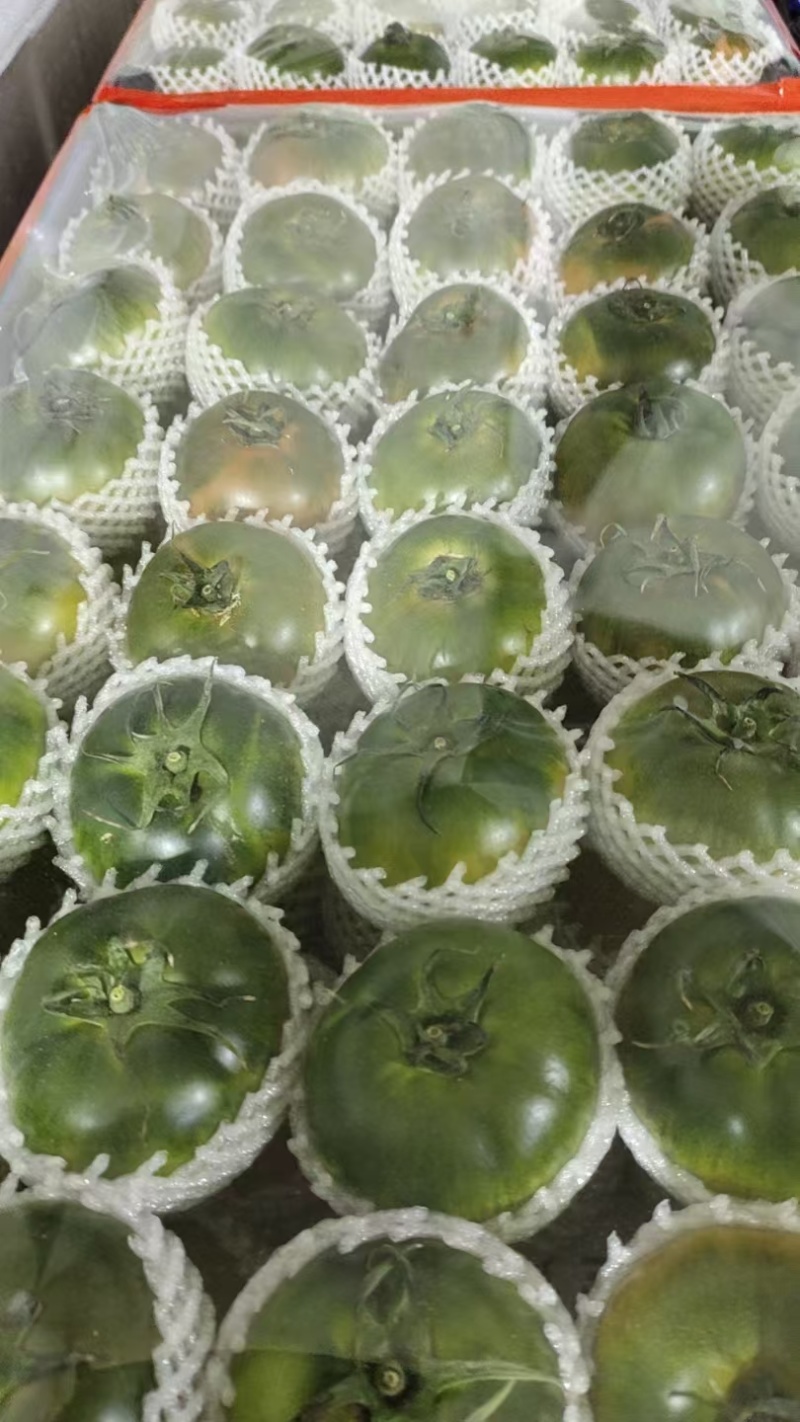 草莓柿子&碱地柿子&草莓西红柿/口感好质量优/可全国发货