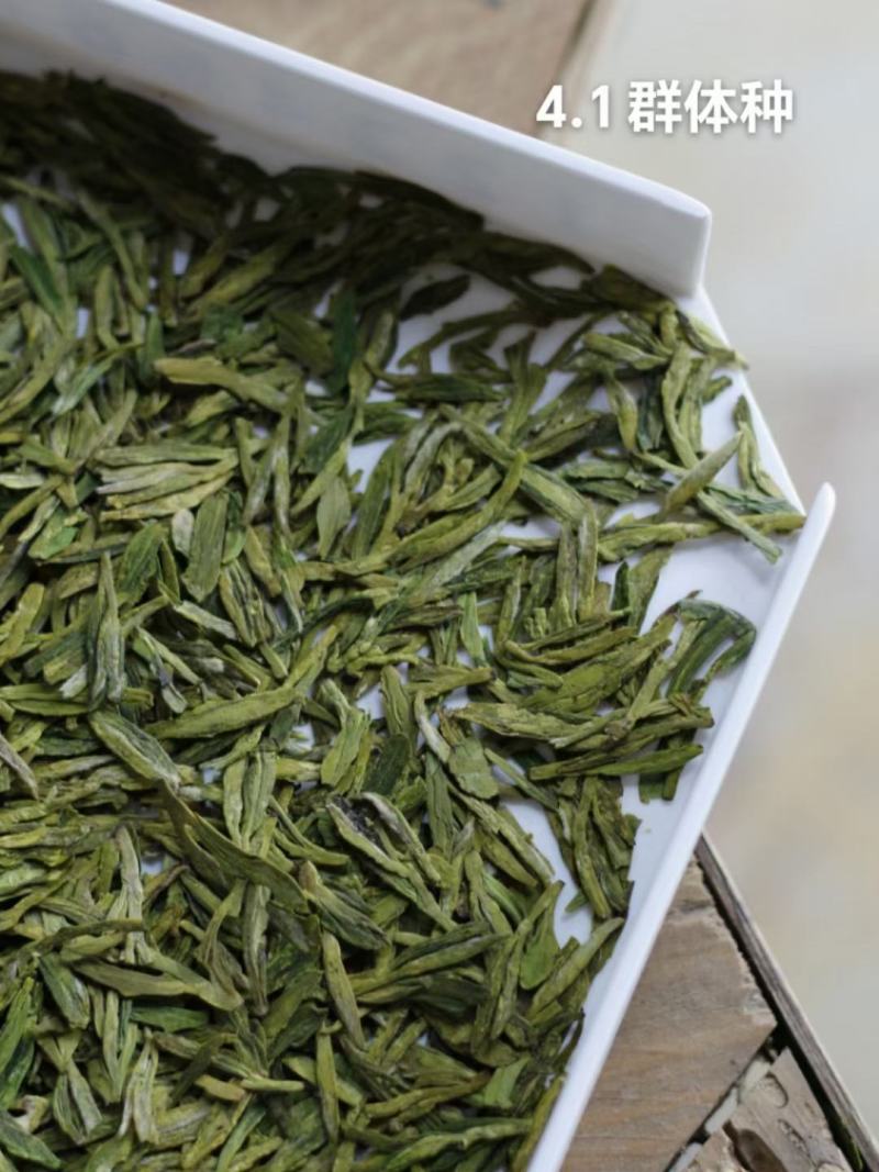 茶叶