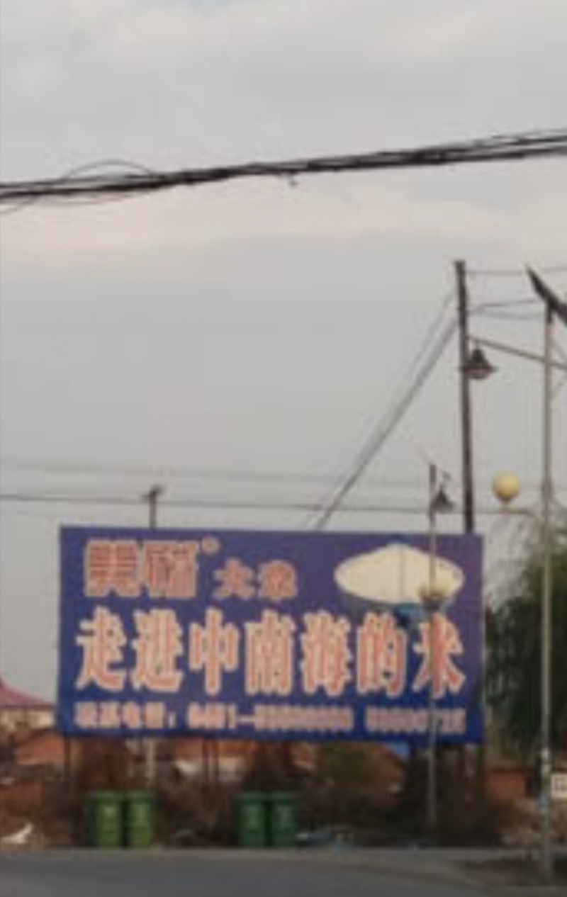 亲手育苗栽收脱粒加工打包发货正宗原产地五常稻花香大米粥米