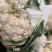 松花菜，花椰菜，产地直发，专业散花菜代发代办很多年
