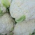 松花菜，花椰菜，产地直发，专业散花菜代发代办很多年