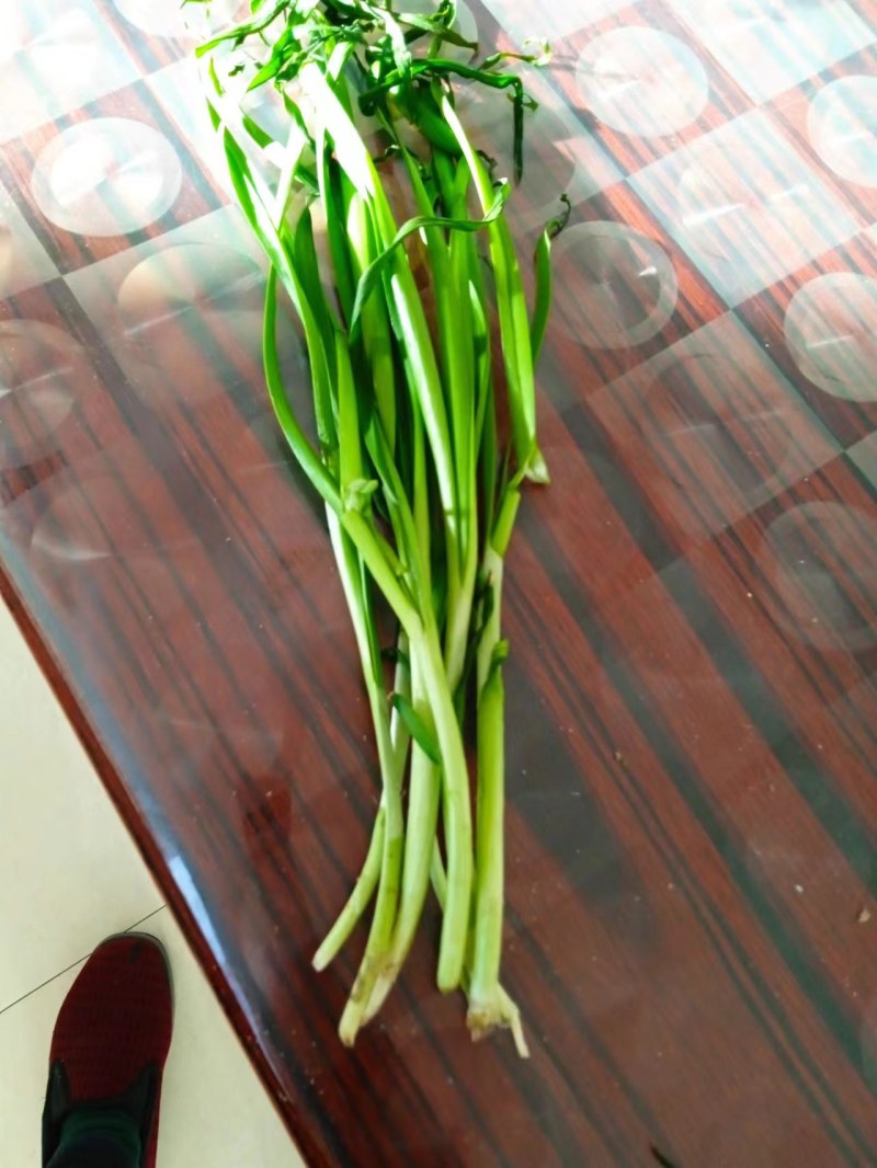 精品好韭菜