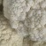 福建漳浦精品松花、散花、有机花菜大量上市