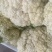福建漳浦精品松花、散花、有机花菜大量上市