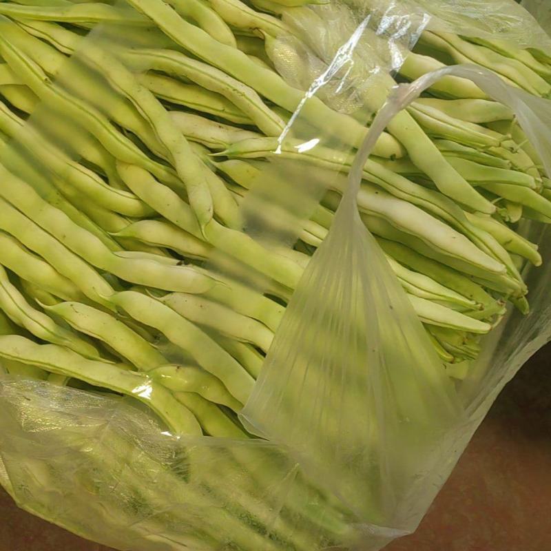 现摘新鲜芸豆