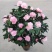 山茶花