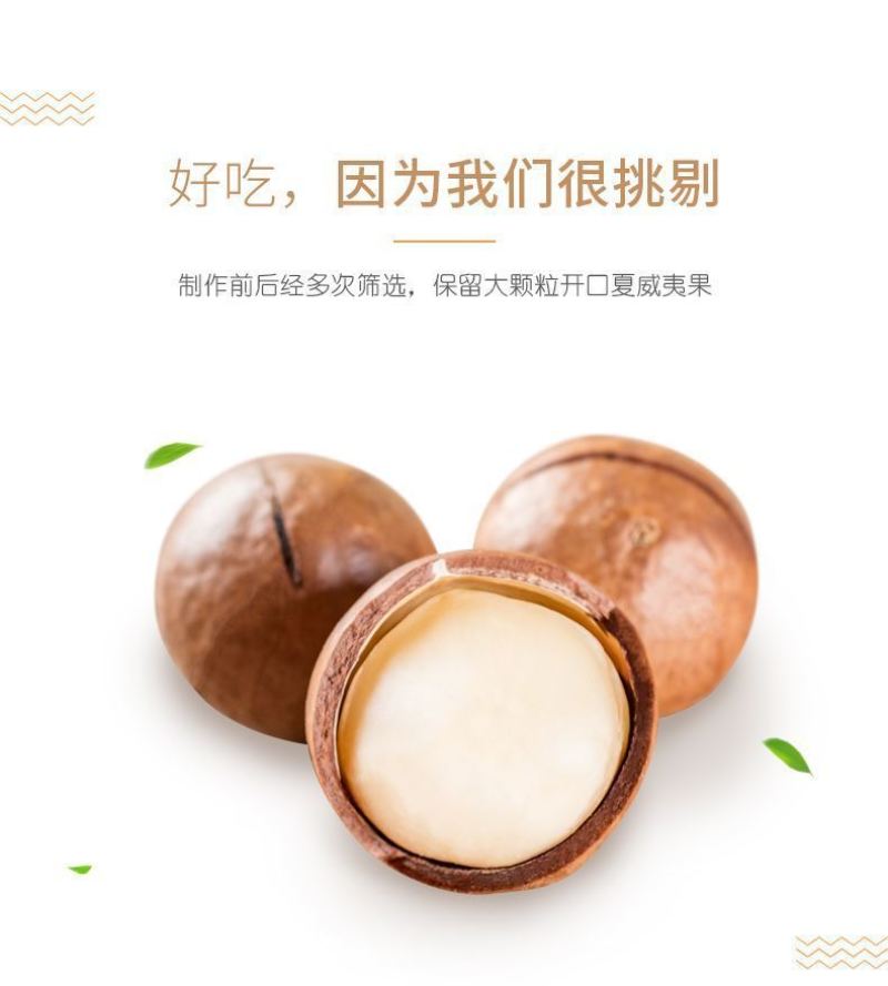 夏威夷果支持全国代发量大优惠