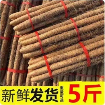 河南焦作温县垆土铁棍山药怀山药新鲜怀山药富硒铁棍山药包邮
