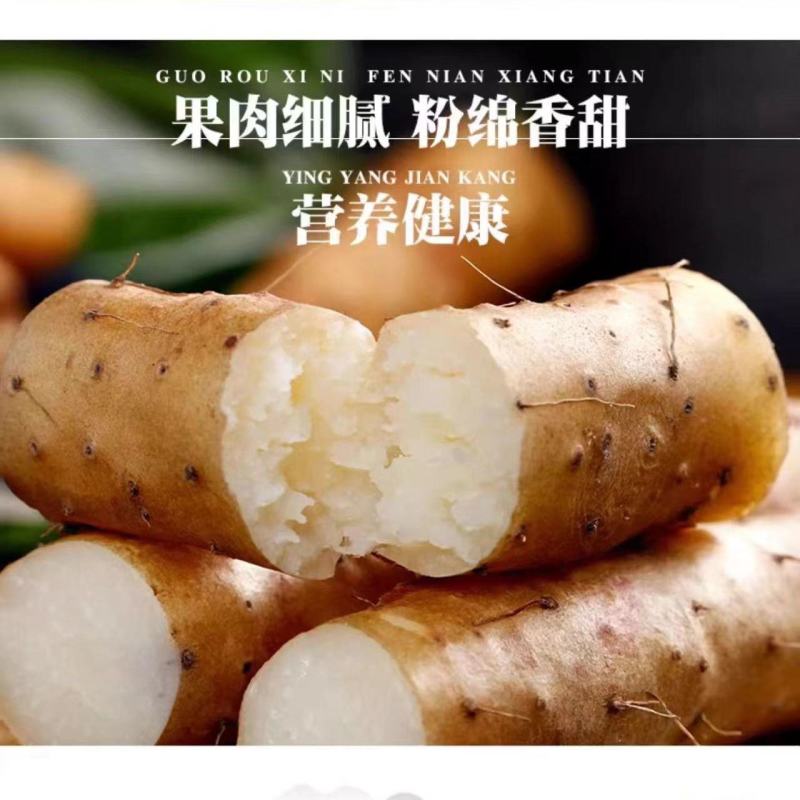 河南焦作温县垆土铁棍山药怀山药新鲜怀山药富硒铁棍山药包邮