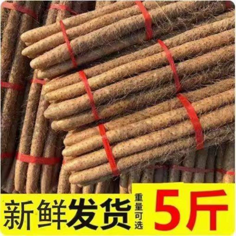 河南焦作温县垆土铁棍山药怀山药新鲜怀山药富硒铁棍山药包邮