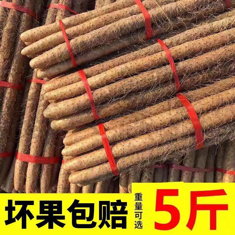 河南焦作温县垆土铁棍山药怀山药新鲜怀山药富硒铁棍山药包邮