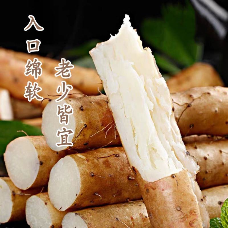 河南焦作温县垆土铁棍山药怀山药新鲜怀山药富硒铁棍山药包邮