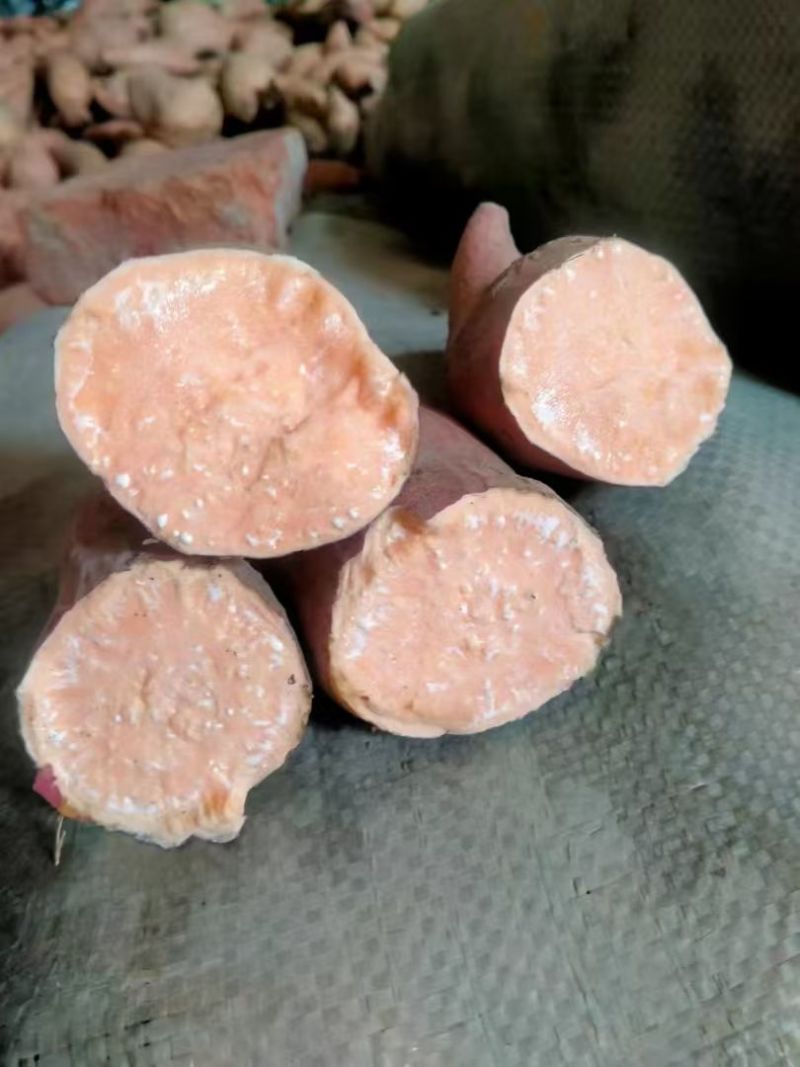 南阳红薯，千亩窖藏，白心红心黄心，一条龙服务，发货包你意