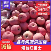 烟台红富士苹果产地一手货源代收代发大量供应