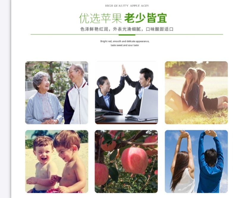 烟台红富士苹果脆甜爽口支持直播电商等各大平台代发