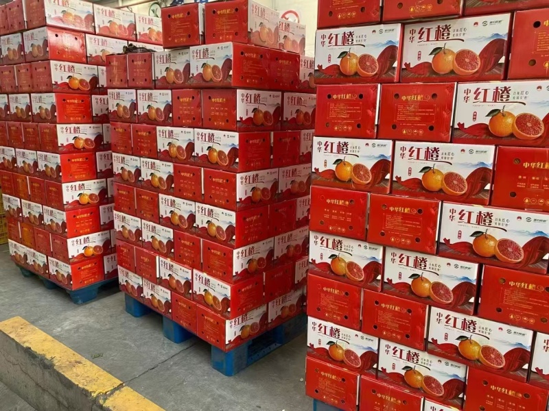 中华红橙，一手货源，对接电商，市场批发，团购，外贸出口
