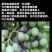 台湾兴农悦购50%腐霉利可湿性粉剂农药杀菌剂葡萄灰霉病杀