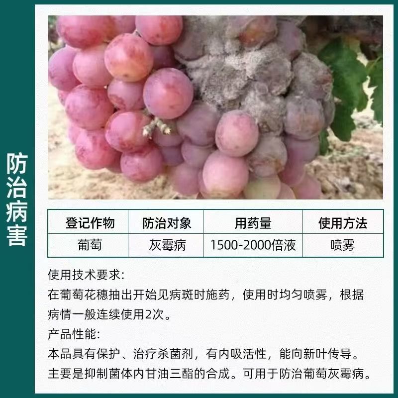 台湾兴农悦购50%腐霉利可湿性粉剂农药杀菌剂葡萄灰霉病杀