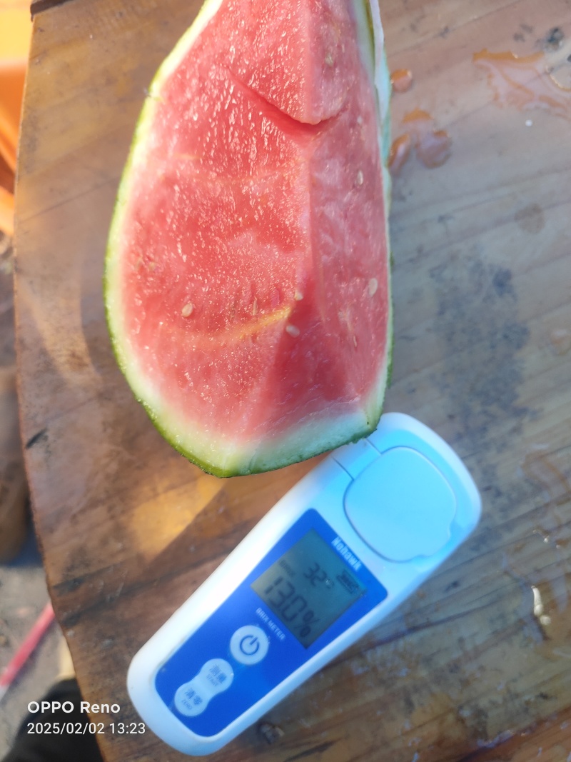 大棚无籽麒麟瓜