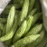 鲜苦瓜头子合作社代购苦瓜脚子加工厂食堂