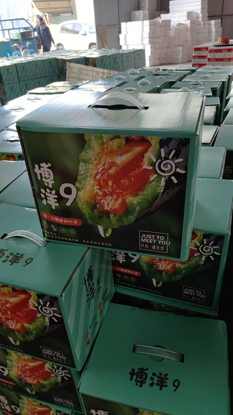 产地代收羊角蜜博洋九61蜜源18博洋72供应电商团购