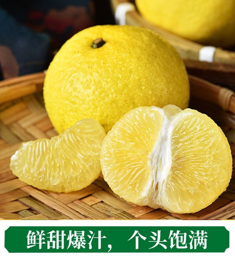 黄金贡柚春香桔柚甜西柚新鲜甜柚湖南雪峰山一件代发