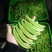 荷兰豆，夹豆，精品，通货，电商，量大量小都可按客户需求订