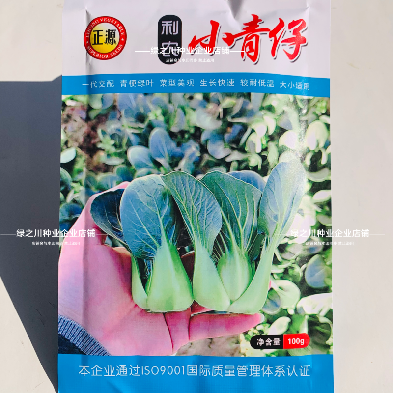 广东靓仔小青仔油菜种子小型上海青种子青梗绿叶软糯清甜