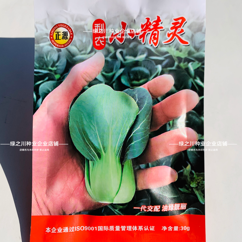 利农小墨仔青菜种籽小精灵油亮小油菜种子矮脚小型上海青种子