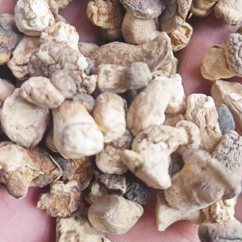 香菇丁干香菇迷你香菇带腿商用批发食品厂馅料