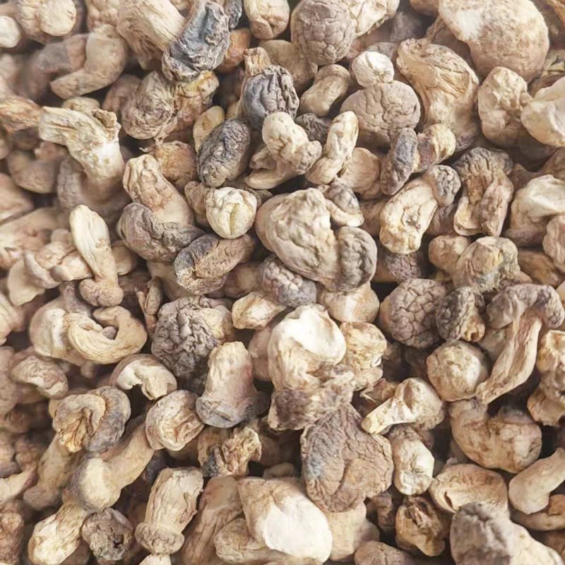 香菇丁干香菇迷你香菇带腿商用批发食品厂馅料