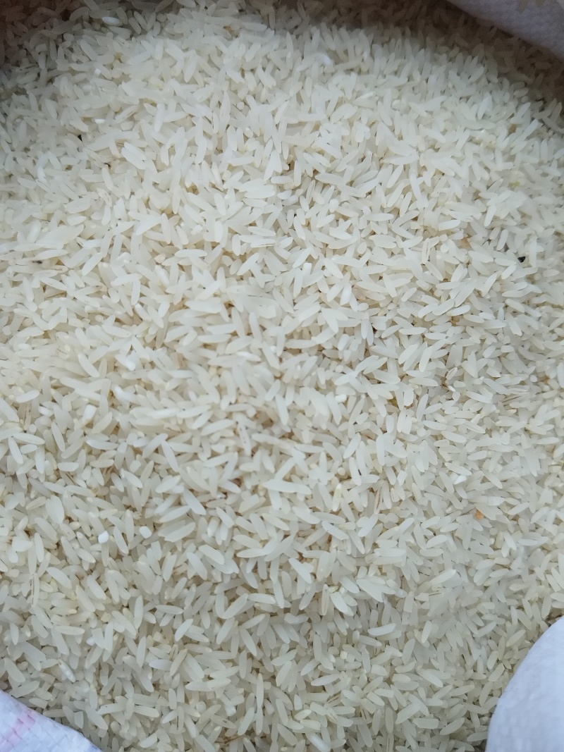 精品稻香米产地直发大量有货欢迎老板来电咨询