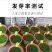 多年生草坪种子黑麦草耐践踏免修剪复绿快返青早蓝标草坪种子