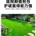 多年生草坪种子黑麦草耐践踏免修剪复绿快返青早蓝标草坪种子