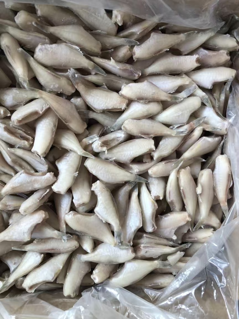 马面鱼、40/50规格单冻纸箱包装