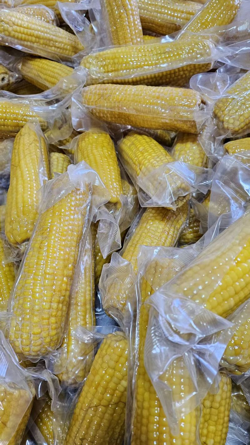 真空黏玉米黄玉米礼品玉米电商黏玉米速冻玉米东北黏玉米