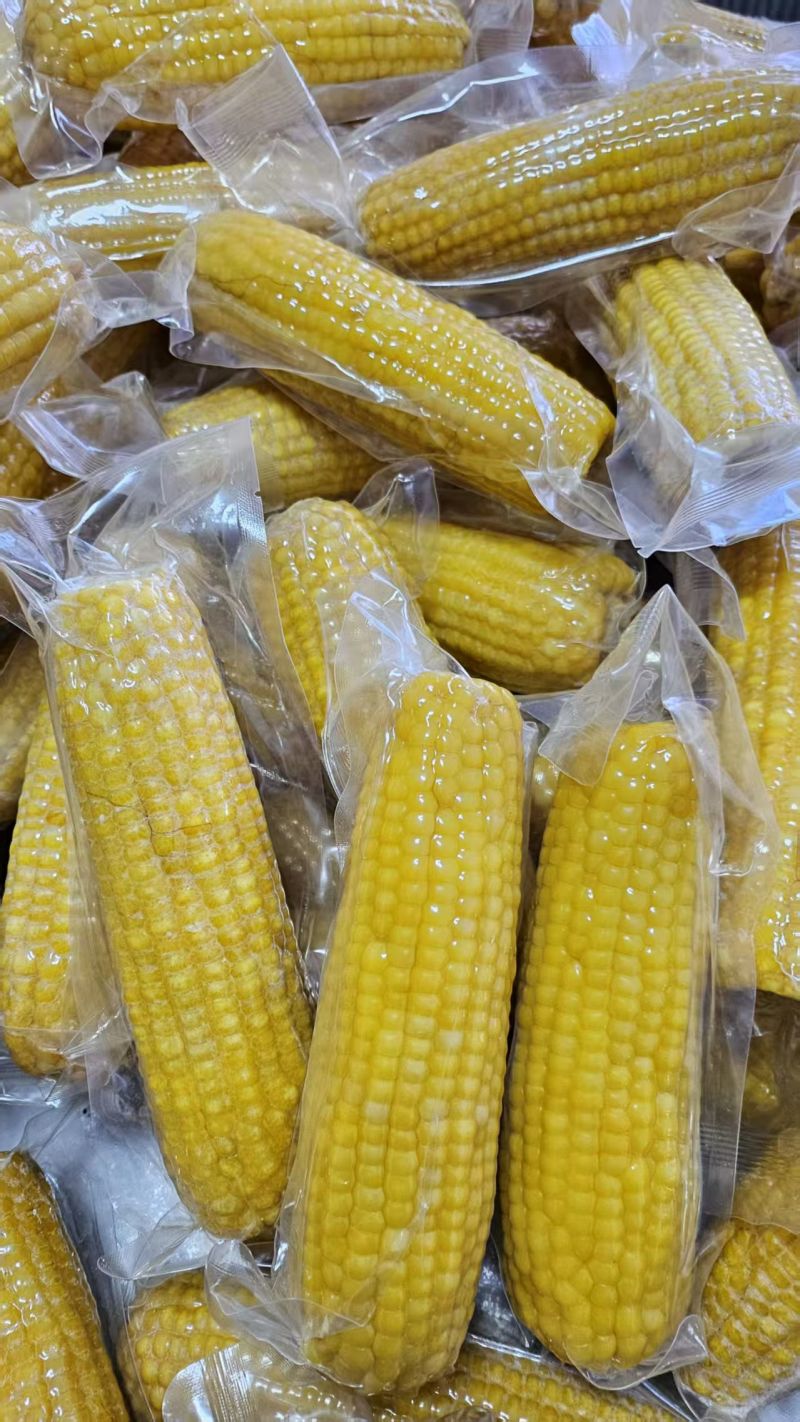 真空黏玉米黄玉米礼品玉米电商黏玉米速冻玉米东北黏玉米