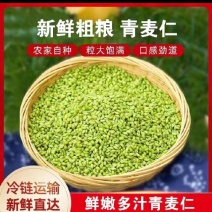新鲜优质麦仁，营养丰富，适合家庭烘焙与健康饮食，欢迎选购！