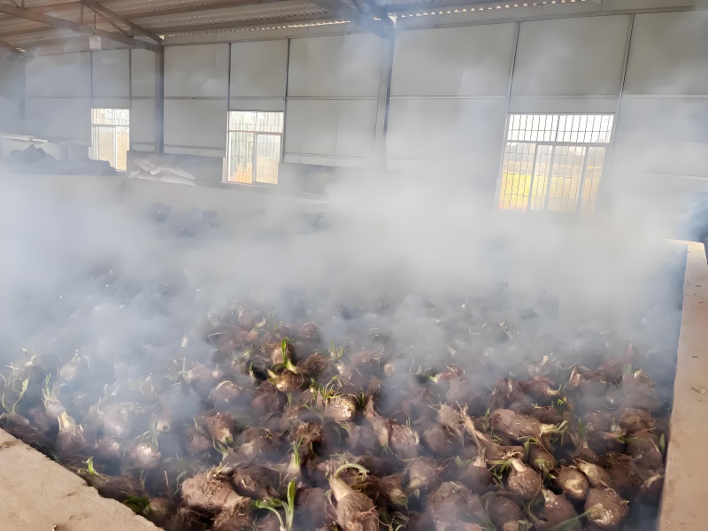 泽泻，高品质，高含药量，基地直发，干货切片可定制