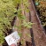 漳州三角梅基地，100多个品种小袋苗陆续上市。质优价美。